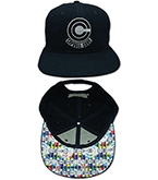 Dragon Ball Z Capsule Corp Fitted Cap 