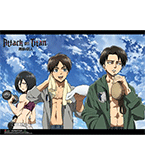 Attack on Titan Fitness Group Wall Scroll
