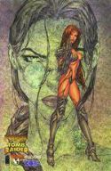 TOMB RAIDER WITCHBLADE TP TROUBLE SEEKERS