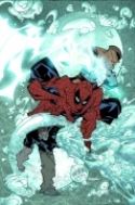 SPIDER-MAN PETER PARKER #51