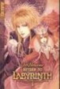 RETURN TO LABYRINTH GN VOL 01 (OF 3)