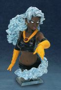 ULTIMATE STORM BUST