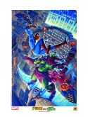 DF HILDEBRANDT SPIDER-MAN VS GREEN GOBLIN LITHO