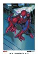 DF SPIDER-MAN MOVIE LITHO