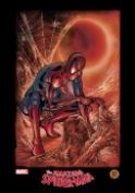 DF RANDY QUEEN AMAZING SPIDER-MAN LITHO SGN