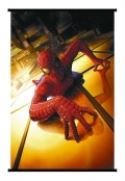 DF SPIDER-MAN SWINGING 2 WALL SCROLL