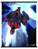 DF SPIDER-MAN MOVIE VIGILANCE WALL SCROLL