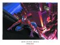 DF SPIDER-MAN THE MOVIE ALONG CAME THE GOBLIN LITHO