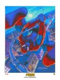 DF SPIDER-MAN ACETATE LITHO SGN