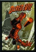 DF DAREDEVIL CANVAS GICLEE DOUBLE SGN