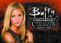 BTVS CONNECTIONS ULTRA PREMIUM T/C BOX (Net)