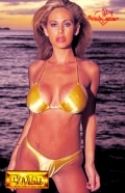 BENCHWARMER 2003 GOLD EDITION T/C BOX (Net)
