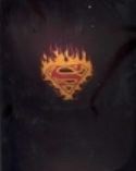 SUPERMAN LOGO FLAME TRUCKER PX CAP