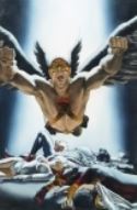 HAWKMAN #25