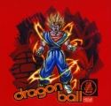 DZ VEGITO LIGHTNING YOUTH T/S LG