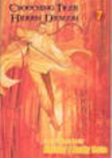 CROUCHING TIGER HIDDEN DRAGON GN VOL 07