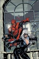 MARVEL KNIGHTS SPIDER-MAN #4