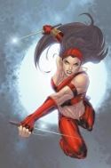ULTIMATE ELEKTRA #5 (Of 5)