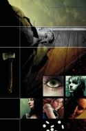 HELLBLAZER #205 (MR)