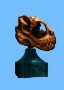 WETA VENATOSAUR SKULL