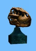WETA V REX SKULL