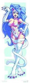 DARKSTALKERS FELICIA DOOR POSTER