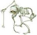 CORPSE BRIDE ELDER GUTKNECHT JAPANESE COLL DOLL