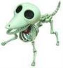 CORPSE BRIDE SCRAP JAPANESE COLL DOLL