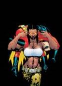 ROBIN #161