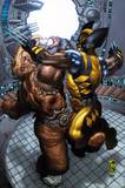 WOLVERINE #53