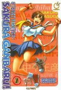 STREET FIGHTER SAKURA GANBARU GN VOL 01