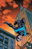 NIGHTWING #132
