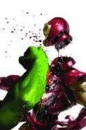 IRON MAN #19 WWH