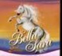 BELLA SARA TCG SERIES 2 BOOSTER DISPLAY