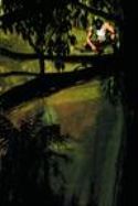 GREEN ARROW YEAR ONE #1 (OF 6)