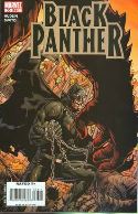 BLACK PANTHER #33