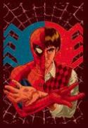 SPIDER-MAN WITH GREAT POWER #1 (OF 5)