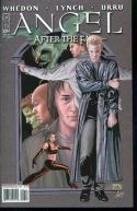 ANGEL AFTER THE FALL #6