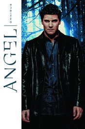 ANGEL OMNIBUS TP VOL 01