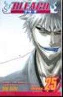(USE OCT128144) BLEACH TP VOL 25