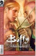 BUFFY THE VAMPIRE SLAYER #23 CHEN CVR
