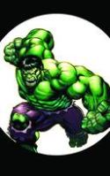HULK #13 DKR