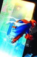 WEB OF SPIDER-MAN #1
