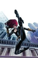 BLACK WIDOW #2 HANS VAR HA