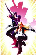 HAWKEYE & MOCKINGBIRD #1 DJURDJEVIC VAR HA