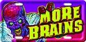 MORE BRAINS ZOMBIE LICENSE PLATE