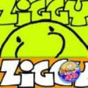 ZIGGY 40 YEARS 1971-2011 HC