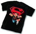 DC UNIVERSE SUPERBOY T/S LG