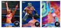 TOPPS 2011 WWE T/C BOX