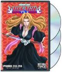 BLEACH UNCUT DVD SET 17
